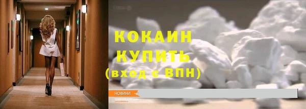 стафф Михайловск