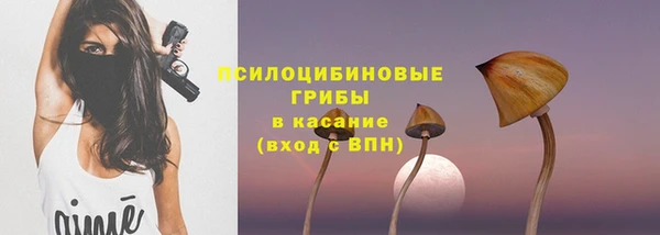 стафф Михайловск