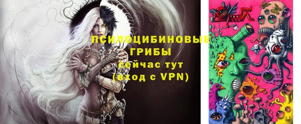стафф Михайловск